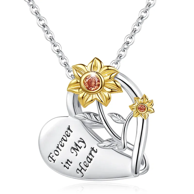 Maxbell Stainless Steel Urn Necklaces For Women Cremation Pendant Necklace  For Ashes at Rs 904.00 | पेंडेंट हार, पेंडेंट नेकलेस - Aladdin Shoppers,  New Delhi | ID: 2849267625355