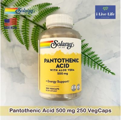 กรดแพนโทเทนิก Pantothenic Acid 500 mg 250 VegCaps - Solaray วิตามินบี 5 บำรุงผิว B-5