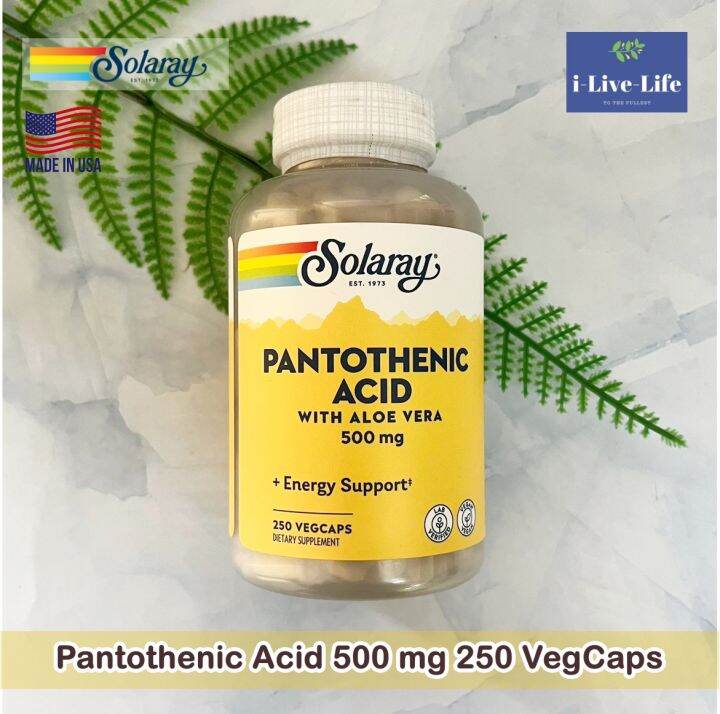 กรดแพนโทเทนิก-pantothenic-acid-500-mg-250-vegcaps-solaray-วิตามินบี-5-บำรุงผิว-b-5