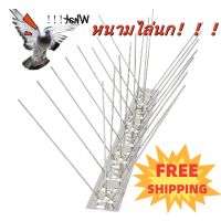 หนามไล่นก ฐานสแตนเลส เกรดพรีเมี่ยม ใช้งานง่าย Bird Spikes หนามกันนกพิราบ วัสดุกันนก กันนกพิราบ ที่ไล่นก ไล่นก ไล่นกพิราบ จัดส่ง 24 ชั่วโมง