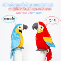 นกแก้ว นกพูดได้ Talking parrot ตุ๊กตานกแก้วพูดได้ ตุ๊กตาพูดได้ นกแก้วพูดได้ ของเล่นเด็กอัดเสียง ของเล่นตุ๊กตา พูดได้ทุกภาษา ของเล่นตลก COD