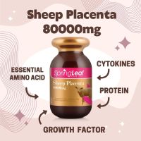 Spring Leaf Sheep Placenta 80,000 mg. 90 เม็ด SpringLeaf รกแกะ เกรดพรีเมี่ยม บำรุงผิวพรรณ