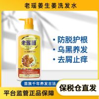 Hong Kong Laoyao Ginger Shampoo Anti-dandruff Shampoo Cream Old King Polygonum multiflorum mugwort oil control dandruff and itching relief