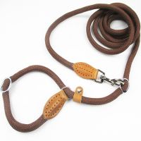 Multifunctional Dog Leash P Chain Slip Collar pet Walking Leads Nylon Dog Rope puppy pet Traction For small Medium Large Dogs Leashes