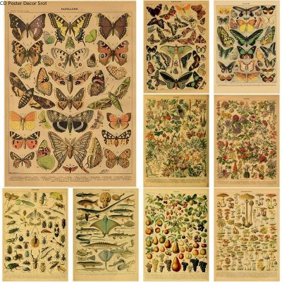❁ ผีเสื้อแมลงดอกไม้เห็ดโปสเตอร์พฤกษศาสตร์การศึกษากระดาษคราฟท์ DIY Vintage Home Room Bar Cafe Decor Art Wall ภาพวาด