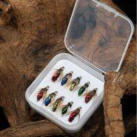 1/5/10Pcs Brass Bead Head Fast Sinking Nymph Scud Fly Bug Worm Trout Fishing Flies Artificial Insect Fishing Bait Lure