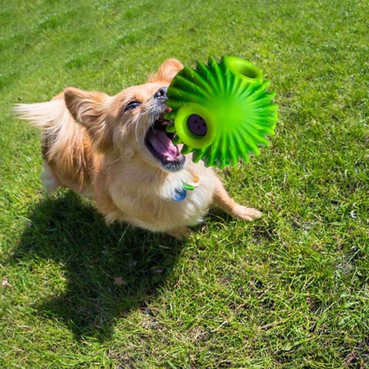 สัตว์เลี้ยงสุนัขของเล่นอินเตอร์แอคที-giggle-บอลสุนัขของเล่นโยกเยกตลกสัตว์เลี้ยงบอลเคี้ยวเล่นสัมผัส-wag-การฝึกอบรมอุปทานปลอดภัยสีเขียวของเล่น