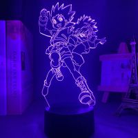 Acrylic 3d Lamp X Killua and Gon for Bedroom Decor Nightlight Birthday Led Night Manga Hxh