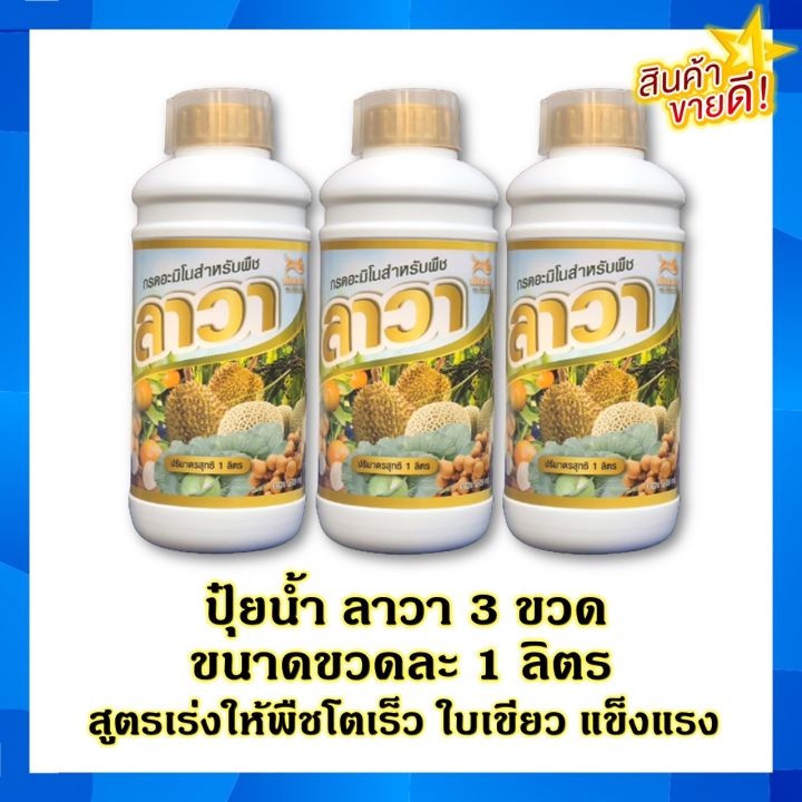 ปุ๋ยน้ำลาวา-3-ขวด-ขนาดขวดละ-1-ลิตร-สูตรเร่งให้พืชโตเร็ว-แข็งแรง-ใบเขียว-ต้านทานโรค-ใช้ได้กับพืชทุกชนิด