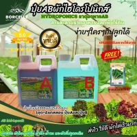 A-B Plus ปุ๋ย  AB ไฮโดรโปนิกส์ ขนาด 1 ลิตร ซื้อ 1 ได้ 2 แกลลอน (A+B)