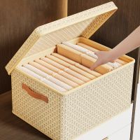 Fabric Box Storage Clothes Organizer Cabinets Drawers Pants Underwear Storage Box With Lid Wardrobe Clothes Storage Organizers