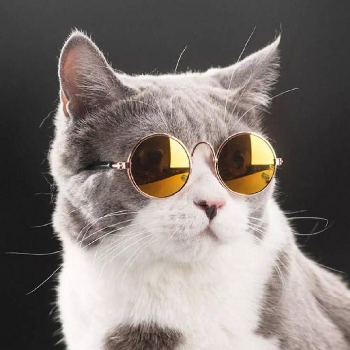 แว่นตากันแดดหมาแมว-แว่นสุนัข-แว่นหมา-แว่นแมว-แว่นกันแดด-แว่นคอสเพลย์-หมา-แมว-แว่นตา-เเว่นตาเเมว