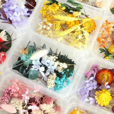 [AYIQ Flower Shop] แพคเกจวัสดุดอกไม้แห้ง1กล่องสบู่วาเลนไทน์รูปดอกกุหลาบนิรันดร์ต้นไม้หอมเทียนอีพ็อกซี่เรซิ่นทำหัตถกรรมอุปกรณ์ตกแต่งบ้าน DIY