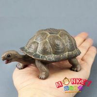 Monkey Toys - โมเดลสัตว์ Galapagos เต่า บก น้ำตาล ขนาด 12.50 CM (จากหาดใหญ่)