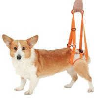 Adjustable Dog Lift Harness for Back Legs Pet Support Sling Help Weak Legs Stand Up Pets Old Dogs Vest Leash Aid Assist Tool Collars