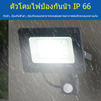 กันน้ำ สปอร์ตไลท์ สปอร์ตไลท์10W 6000K 30W 6500K Light Sensor IP66 สําหรับประตู, ลานกลางแจ้ง, โรงรถ, ทางเดิน