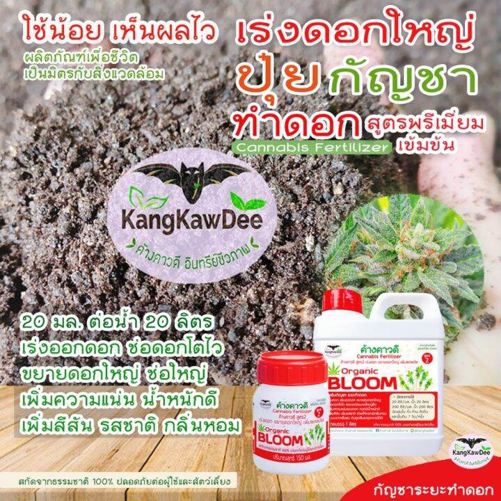 ปุ๋ยกัญ-ระยะทำดอก-เร่งดอกโตไว-ขยายดอกใหญ่-ช่อดอกแน่น-ดอกสมบูรณ์-ค้างคาวดี-สูตร2-เพิ่มน้ำหนัก-เพิ่มสีสัน-เพิ่มรสชาติและกลิ่นหอม
