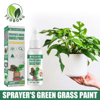 YEGBONG 30Ml Plant Greening Agent Lawn Spray Dyeing Maintenance Agent Greening Subtilis Greening Grass Garden Decoration Sprayer Green Grass Paint Green Plant Agent Lawn Stain Maintenance Agent Green Grass Paint Sprayers Green Grass Paint