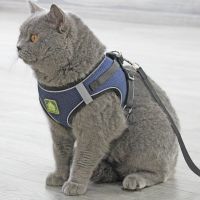 ต้นฉบับ Cat Rope Cat Traction Rope Vest-style Breathable Clothes Chest Strap Anti-break Adjustable Telescopic British Shorthair Blue Cat