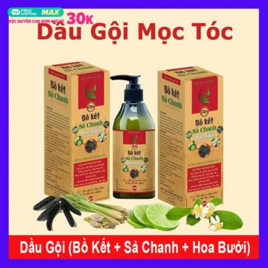 Combo 2 chai dầu gội bồ kết sả chanh hoa bưởi 300ml giúp sạch gàu, đen tóc - ảnh sản phẩm 1