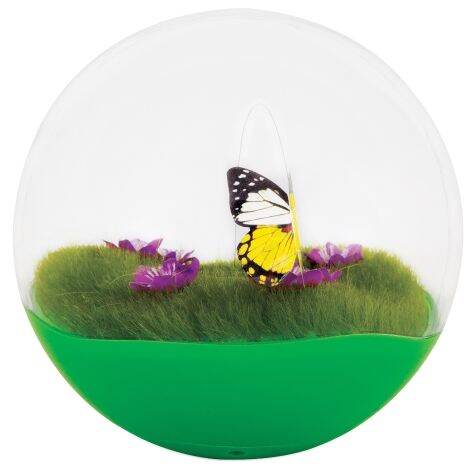 petmate butterfly ball