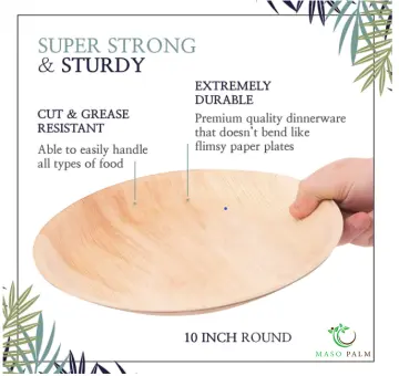 Nice! Ultra Strong Paper Plates - 20 pack