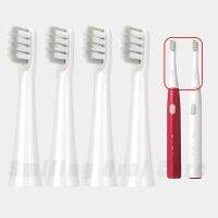 ZZOOI Suitable For DR.BEI Electric Toothbrush Head Replacement Y1/GY1/C3 Toothbrush Head Universal Adult Soft Replace DuPont Nozzle