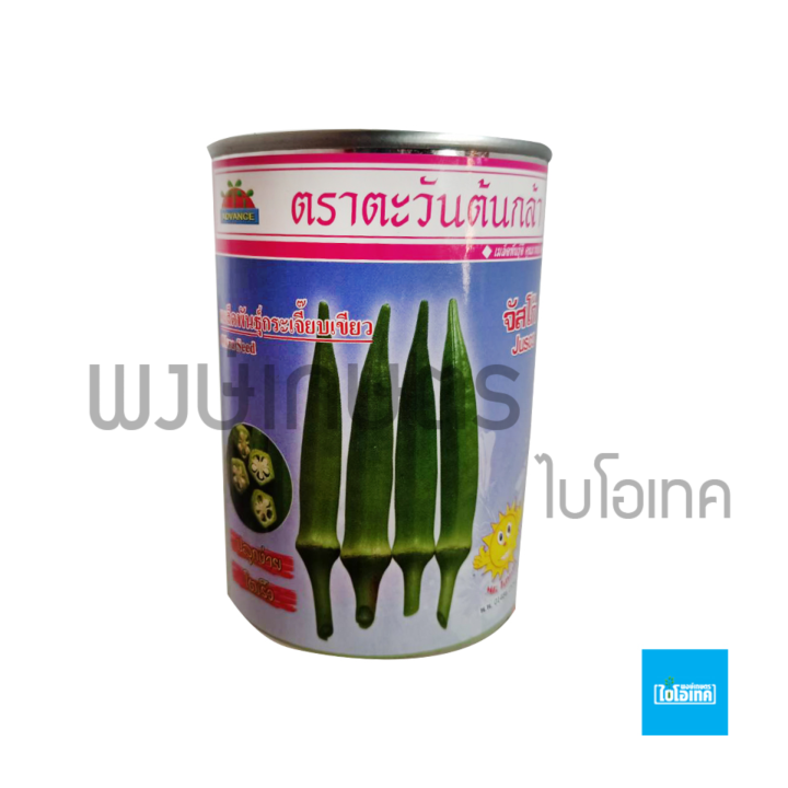 เมล็ดพันธุ์กระเจี๊ยบเขียว-okra-seed-จัสโก้-20-กรัม-ตราตะวันต้นกล้า-เมล็ดพันธุ์ผัก-เมล็ดพันธุ์พืช-ผักสวนครัว-พรรณไม้-พงษ์เกษตรอุตรดิตถ์