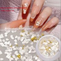 【hot sale】 ☌♙◘ B50 Cherry Blossom Sequins Nail Art Accessories / Mixed Material Package Steel Ball Nail Art Accessories / Slim Petal DIY Nail Art Jewelry