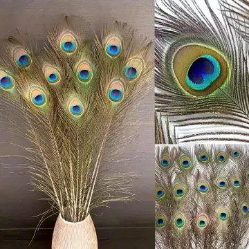 Aggregate 151+ decorative ostrich feathers super hot