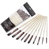 Bview Art 10 Different Nylon Hair Shape Paint brushes For Acrylic Watercolor Paint Painting Artist Brushes Tools