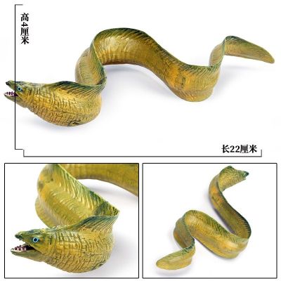 Children ocean creatures toy animal model simulation sea eel fish toys plastic furnishing articles hands do