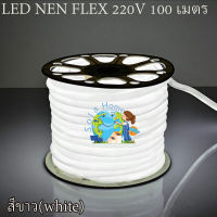 LED Neon Flex ไฟเส้น ประดับตกแต่งแม้ในบ้าน หรือนอกบ้าน มีสีให้เลือกมากมาย ขนาด 100 เมตร สีขาว