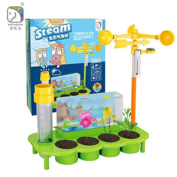 (Ready Stock) STEM education Science Experiment Weather station plant