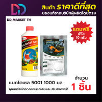 แบคโตเซล 5001 1000cc แถมน้ำใส 10 กรัม 1 ซอง  BACTOCEL 5001 1000cc จุลินทรีย์น้ำใส น้ำยาดับกลิ่น รักษาสภาพน้ำ ในบ่อปลา แบคโตเซล ลดแอมโมเนีย ไนไตรท์ ไนเ