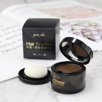 แป้งปิดผมหน้า hair line shadow powder