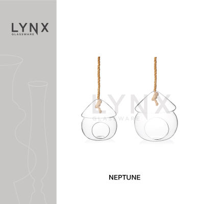 LYNX - Neptune - แจกันแขวน Terrarium ทรงหัวเห็ด เนื้อใส พร้อมเชือกเส้นใหญ่  ใส่ดอกไม้ มีให้เลือก 2 ขนาด