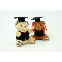 [SG Stock] Graduation Cuddly Memorable Soft Customizable Children Day