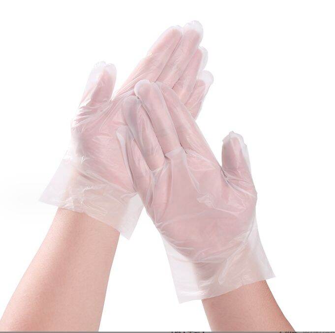 Disposable gloves pvc catering food Lazada PH