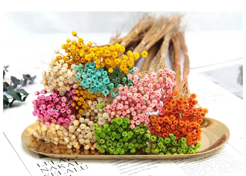 Real Happy Flower Small Natural Dried Flowers Bouquet Dry Flowers Press Mini  Decorative Photography Photo Backdrop Decor
