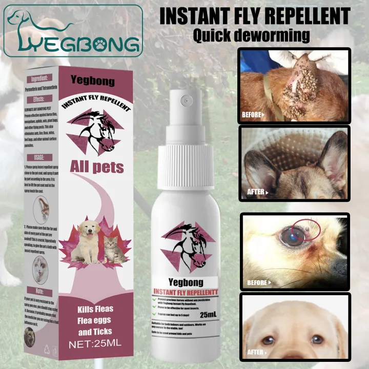 can dogs use nasal spray