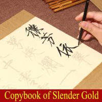 dfh❁✣  Chinese Copybook of Slender Gold font Huizong characterized Painting Supplies Nong fang shi