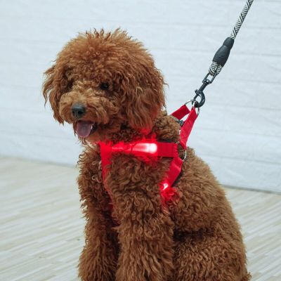 Fashion LED Electronic Pet Harness Nylon Dog Accessories Flashing Light Pet Leash Rope Belt Dog Glowing Vest Pet Supplies Leashes