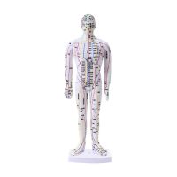 35CM FeMale Lettering point mini body mannequin of acupuncture Medical Research massage reflex zone teaching model