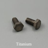 M10 M12 M16 dari 45Mm 50Mm 55Mm 60Mm 65Mm 70Mm 75Mm Panjang TA2 titanium Baut Metrik Thread Penuh Eksternal Hex Hexagon Kepala Sekrup