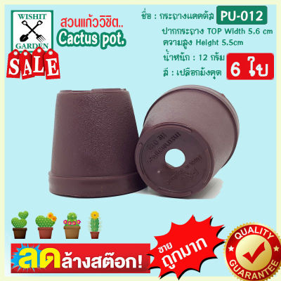 กระถางแคคตัส กระถางกระบองเพชร PU012 ขนาด 2.2 นิ้ว สีม่วงมังคุด 6 ใบ เนื้อพลาสติกแน่นหนาทนทาน ราคาถูก