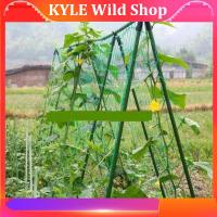 KYLE Wild Shop 4 Sizes Garden Plant Climbing Net Stand Holder Green Nylon Trellis Netting Mesh Support Bean Growing Fence Net Line