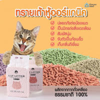 ทรายเต้าหู้ ออร์แกนิค100% ผลิตจากกากถั่วเหลืองธรรมชาติ ทรายแมว Cat Litter ทรายแมวเต้าหู้ (6 ลิตร) ทิ้งในห้องน้ำได้