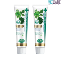 (แพ็ค 2) Dentiste Premium Care Toothpaste Tube  เดนทิสเต้ยาสีฟันสูตรพรีเมี่ยมแคร์  หลอด100กรัม  [WEC]