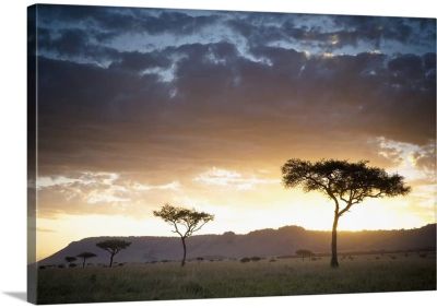 ต้นไม้และสัตว์ข้ามงานศิลปะการถ่ายภาพพิมพ์ลายศิลปะบนผืนผ้าใบสำหรับติดกำแพงแอฟริกัน